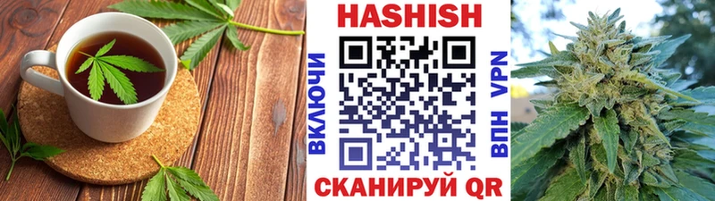 Купить где Терек Cannafood конопля