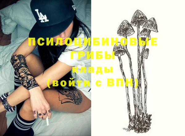 первитин Дмитровск