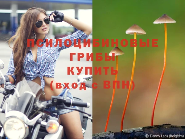 героин Дмитров