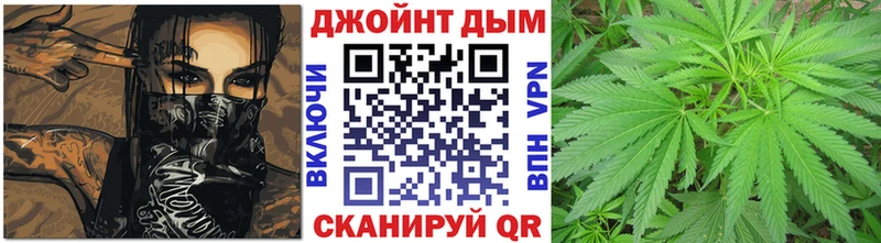 Каннабис семена  Купить  Терек 